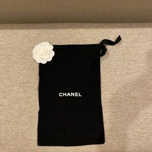 Chanel Shoe Bag